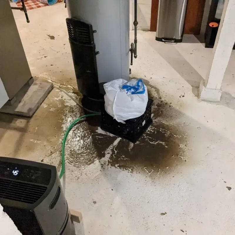 Sewage Backup Cleanup Service in Saranap, CA